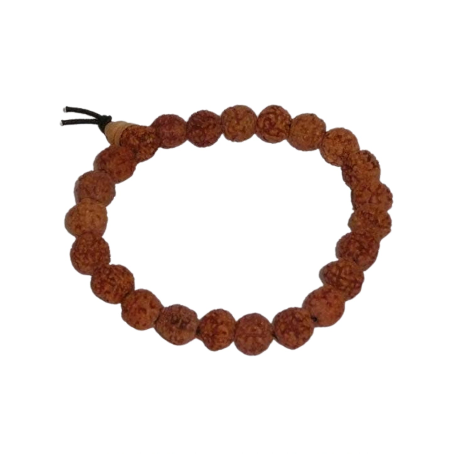Rudraksha Seed Beaded Bracelet - Wrist Mala - 8mm (6 Pack)